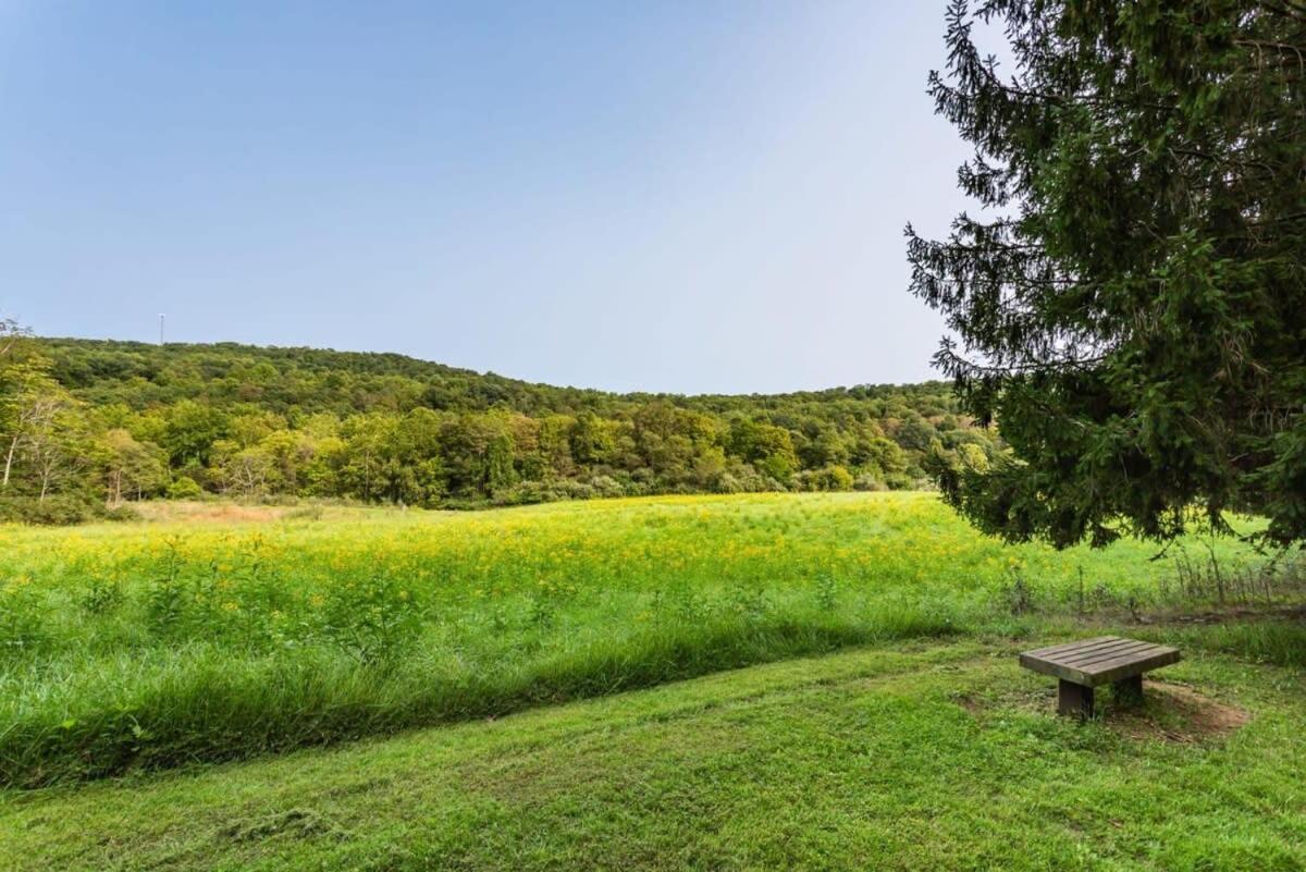 Huge Cabin W Hot Tub, Deck, Grill, Fire Pit, Wifi بيركلي سبرينغز المظهر الخارجي الصورة