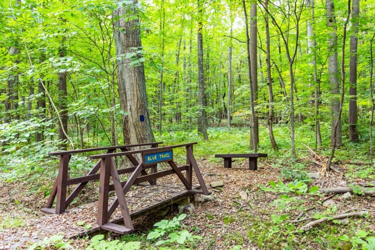 Huge Cabin W Hot Tub, Deck, Grill, Fire Pit, Wifi بيركلي سبرينغز المظهر الخارجي الصورة